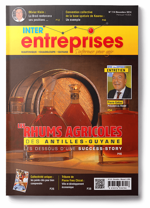 Interentreprises n°114 - Décembre 2014/Janvier 2015 - Numérique