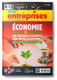 [MAG-118] Interentreprises n°118 - Mai 2015 - Numérique